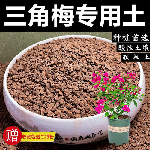 三角梅专用土风化土风化石赤玉土