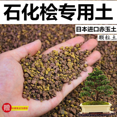 石化桧专用土赤玉土酸性颗粒风化土孢菌营养粒有机营养盆栽种植土