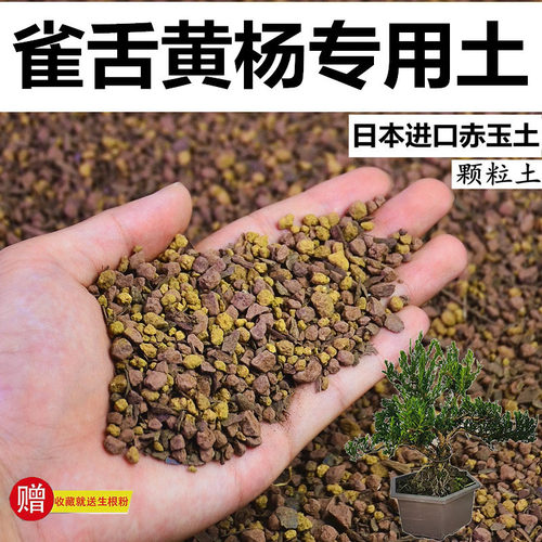 雀舌黄杨专用土赤玉土酸性颗粒风化土营养粒有机营养土盆景土种植