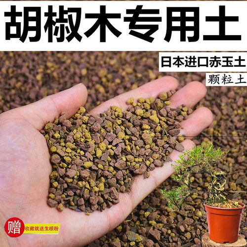 胡椒木专用土赤玉土酸性颗粒风化土孢菌营养粒盆栽有机营养种植土
