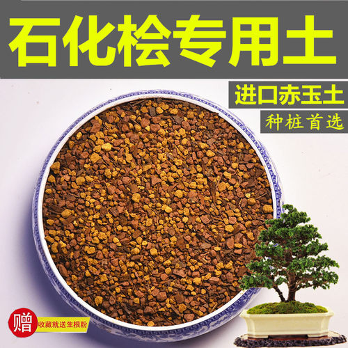 石化桧专用土盆景赤玉土风化土颗粒土营养粒有机肥酸性红土营养土
