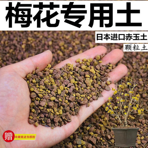 梅花专用土赤玉土酸性颗粒土风化土营养粒有机营养土盆景土种植土