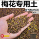 梅花专用土赤玉土酸性颗粒土风化土营养粒有机营养土盆景土种植土