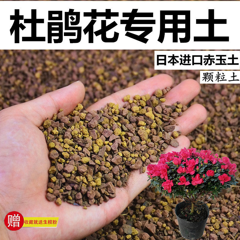 杜鹃花专用土赤玉土酸性颗粒土风化土营养粒有机营养土盆栽种植土图片
