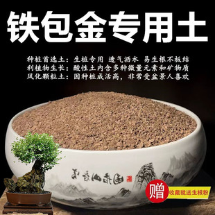 铁包金专用土颗粒风化土风化石营养土盆景土赤玉土酸性土种植土