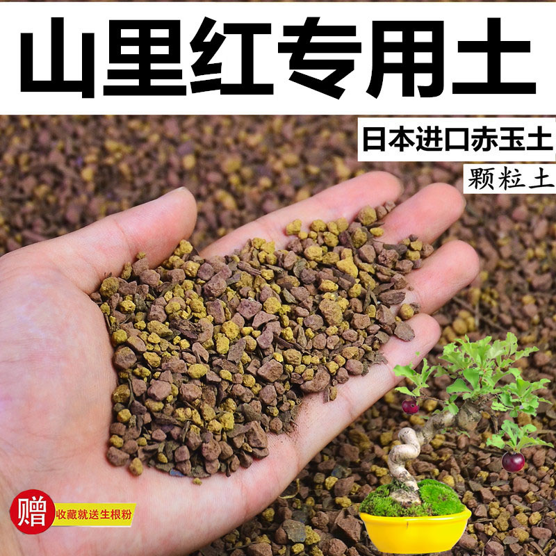 山里红专用土赤玉土酸性土颗粒风化土泥炭土营养粒盆栽花卉种植土