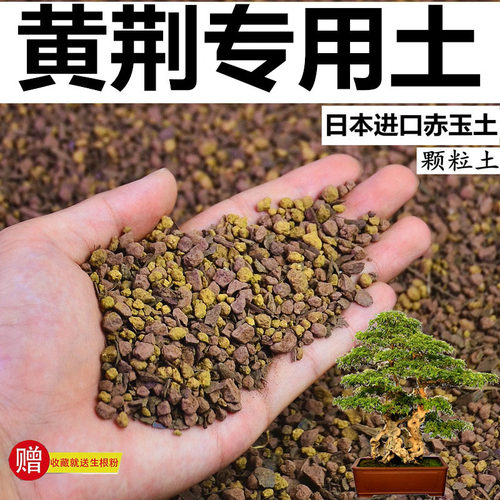 黄荆专用土赤玉土酸性颗粒土风化土营养粒有机营养土盆景土种植土