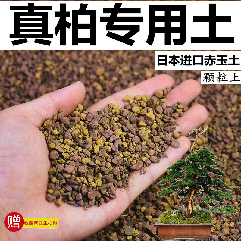 真柏土专用土赤玉土风化颗粒土营养土柏树盆景土种植土玉肥有机肥
