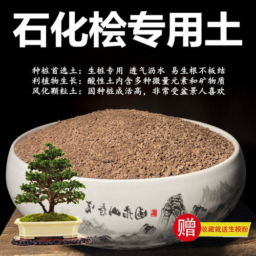 石化桧专用土颗粒土风化土风化石营养土盆景土赤玉土酸性土种植土