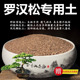 罗汉松专用土颗粒土风化土风化石营养土盆景土赤玉土酸性土种植土
