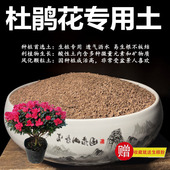 杜鹃花专用土颗粒土风化土风化石营养土盆景土赤玉土酸性土种植土