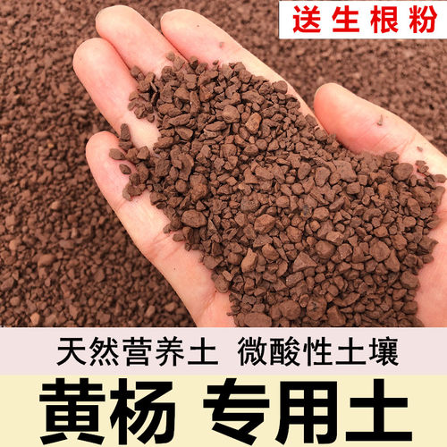 风化土专用土颗粒土风化石扦插土