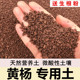 黄杨土专用土风化土盆景土风化石颗粒土扦插土种植土赤玉土红土
