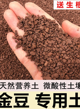 风化土专用土颗粒土风化石扦插土