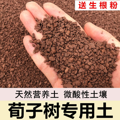 荀子树专用土风化土赤玉土酸性土