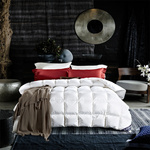 3清仓被子白鹅绒被春秋被芯学生宿舍单人双人加厚保暖羽绒被冬被