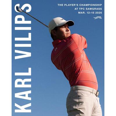 代购sundayred高尔夫运动Polo衫速干条纹T恤衫短袖老虎伍兹同款