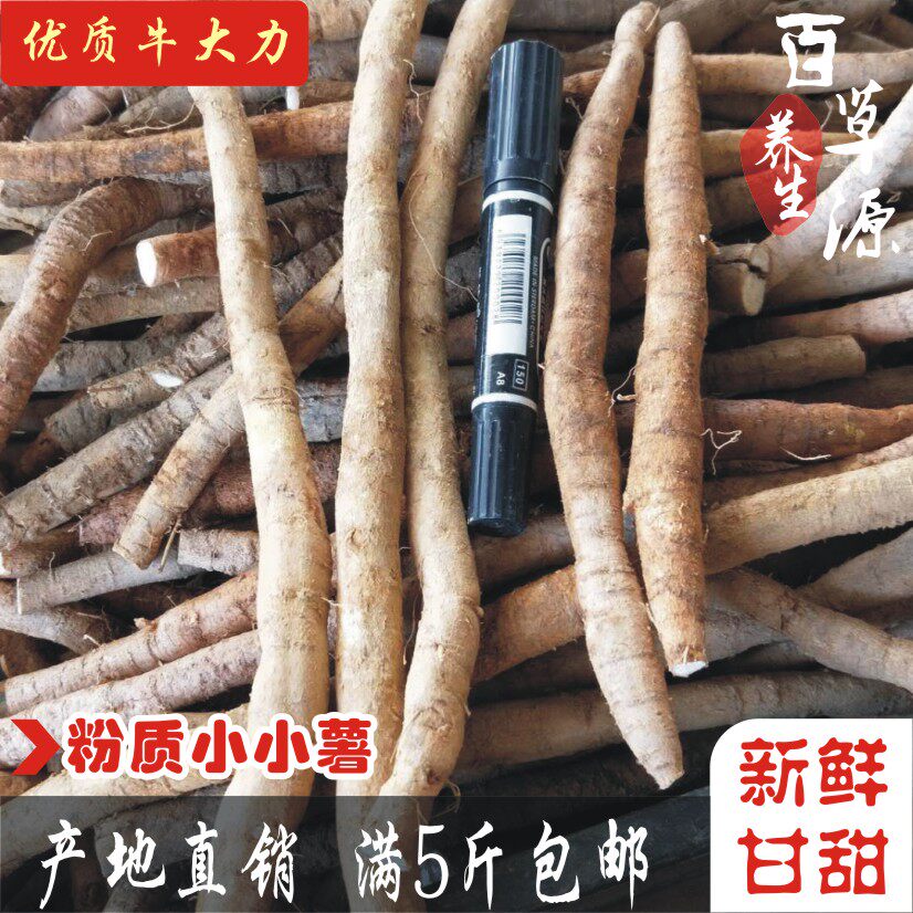 野生牛大力薯粉质小小牛500g新鲜小小薯滋补煲汤金钟根泡酒料包邮