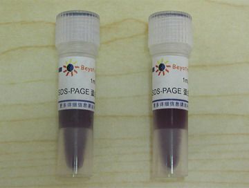 SDS-PAGE蛋白上样缓冲液(5X) P0015 碧云天生物 Beyotime在类目 家装主材, 环保/除味/保养, 环保系列, 甲醛检测剂/自测盒中 - 来自Buy2taobao.com提供专业的淘宝代购服务