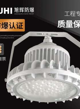 照明灯XHD610免维护灯120W150W200WLED防水