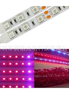 红外光灯条840-850nm DC12V 6W 30D/M IP65滴胶 一头出线LED灯带