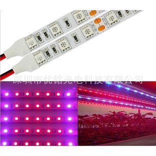 红外光灯条840-850nm DC12V 6W 30D/M IP65滴胶 一头出线LED灯带