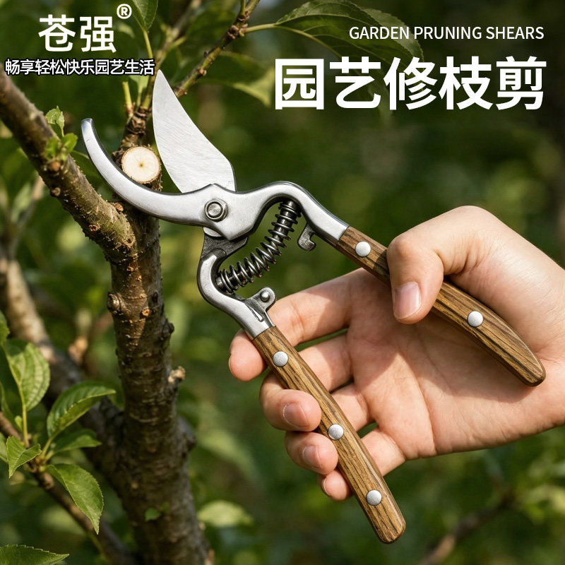 苍强铬钒钢省力园艺修枝剪刀图片