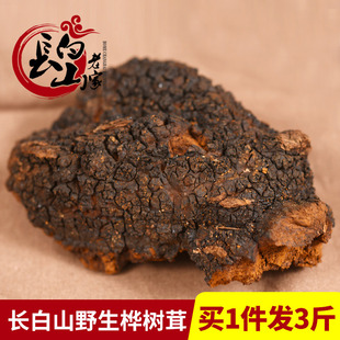 买1发3长白山桦树茸 1斤天然胰岛素黑金白桦茸粉桦褐孔菌500g