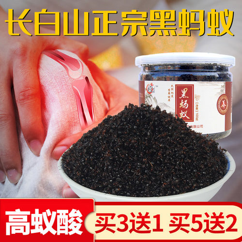 泡酒料长白山拟黑多刺蚁黑蚂蚁
