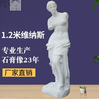 Художественная статуя из гипса, учебные пособия, 1.2м