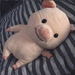 小猪公仔玩偶搞怪绒玩具生日礼物可爱猪娃娃抱枕超软布偶睡觉抖音