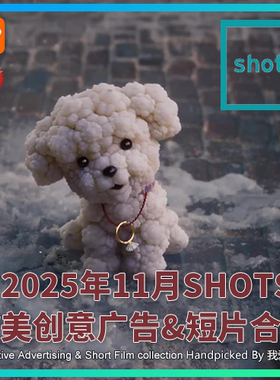 2025年11月SHOTS欧美高清创意广告短片合集送PDF介绍文档AI中字幕