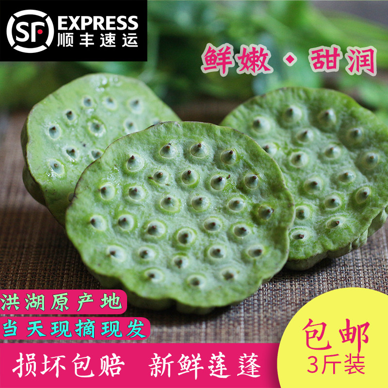 嫩莲蓬洪湖新鲜现摘现发莲蓬果当季嫩莲子生吃甜孕妇即食水果莲蓬