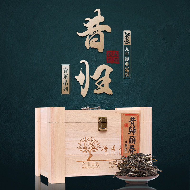 2026年昔归古树头春普洱茶生茶