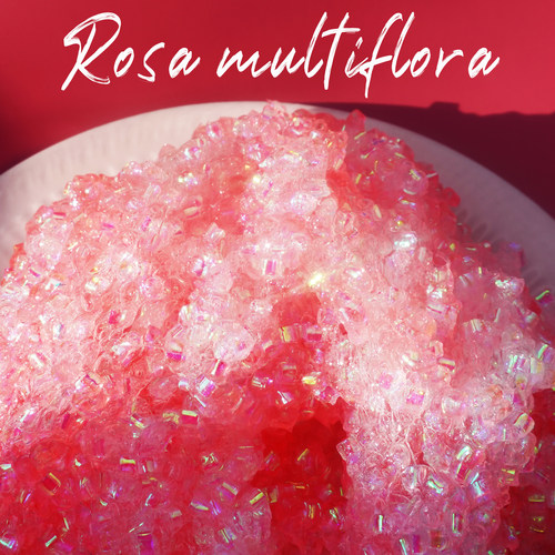 蔷薇少女很脆的声音填充物起泡胶