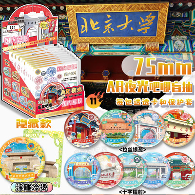 10个一盒吧唧盲抽含隐藏款盲盒