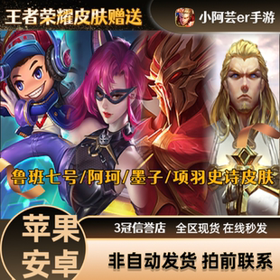 王者送荣耀皮肤鲁班电玩小子墨子龙骑士阿珂暗夜猫娘项羽苍穹之光