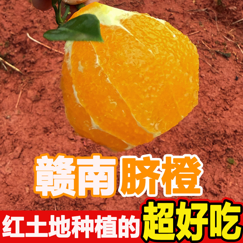 正宗江西赣南脐橙赣州甜橙子水果5/10斤装现摘现发信丰老树脐橙
