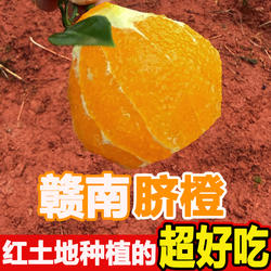 正宗江西赣南脐橙赣州甜橙子水果5/10斤装现摘现发信丰老树脐橙