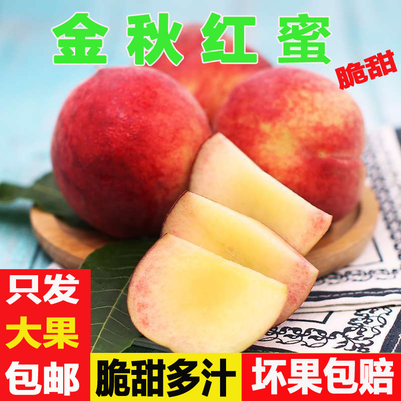 山东蒙阴金秋红蜜桃沂蒙山新鲜寒露冬桃大果5斤装现摘现发水蜜桃