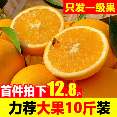 正宗江西赣南脐橙赣州甜橙子水果3/5/10斤装现摘现发信丰老树脐橙