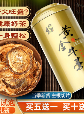 黄金牛蒡金启源正品牛旁茶袋装台湾工艺功效磅榜跟野生牛膀根包邮