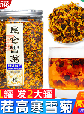 野生昆仑雪菊正品新疆特产昆仑山花茶胎菊新花天山血西藏王冰山茶