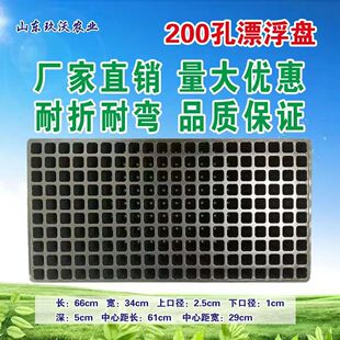 200孔漂浮盘套盘 泡沫盘套盘水培耐折耐弯抗老化大漂浮育苗盘辣椒