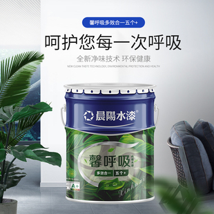 晨阳水漆馨呼吸多效合一内墙面漆5个+
