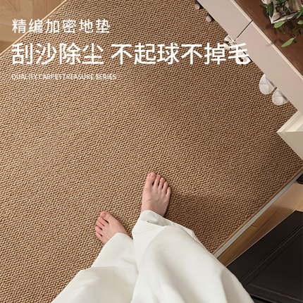 仿剑麻入户门地垫门口地毯入户门垫进门脚垫家用可裁剪定制防滑尘