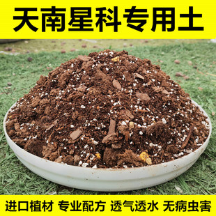 天南星科专用土龟背竹春羽海芋竹芋花烛秋海棠热带植物通用营养土