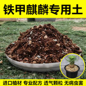 铁甲麒麟专用土铁甲丸配方土大戟科多肉通用颗粒土营养土肥料 包邮