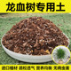 龙血树专用土栽种龙须树营养土绿植花卉室内盆栽种植土壤肥料 包邮