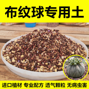 布纹球专用土颗粒土大戟科通用营养土配方土块根类植物种植土肥料